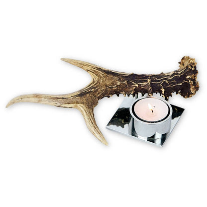 stainless-tea-candle-holder-with-roe-buck-antler-for-one-tea-candle